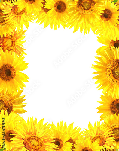 Fototapeta Naklejka Na Ścianę i Meble -  Border with sunflowers