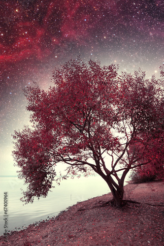 spring night infrared photography. Elements of this image furnis