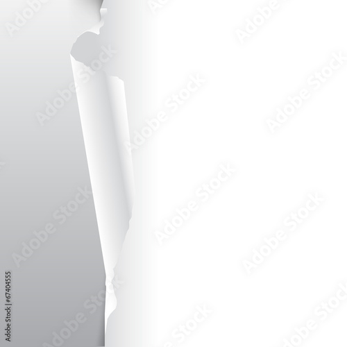 paper isolated on white