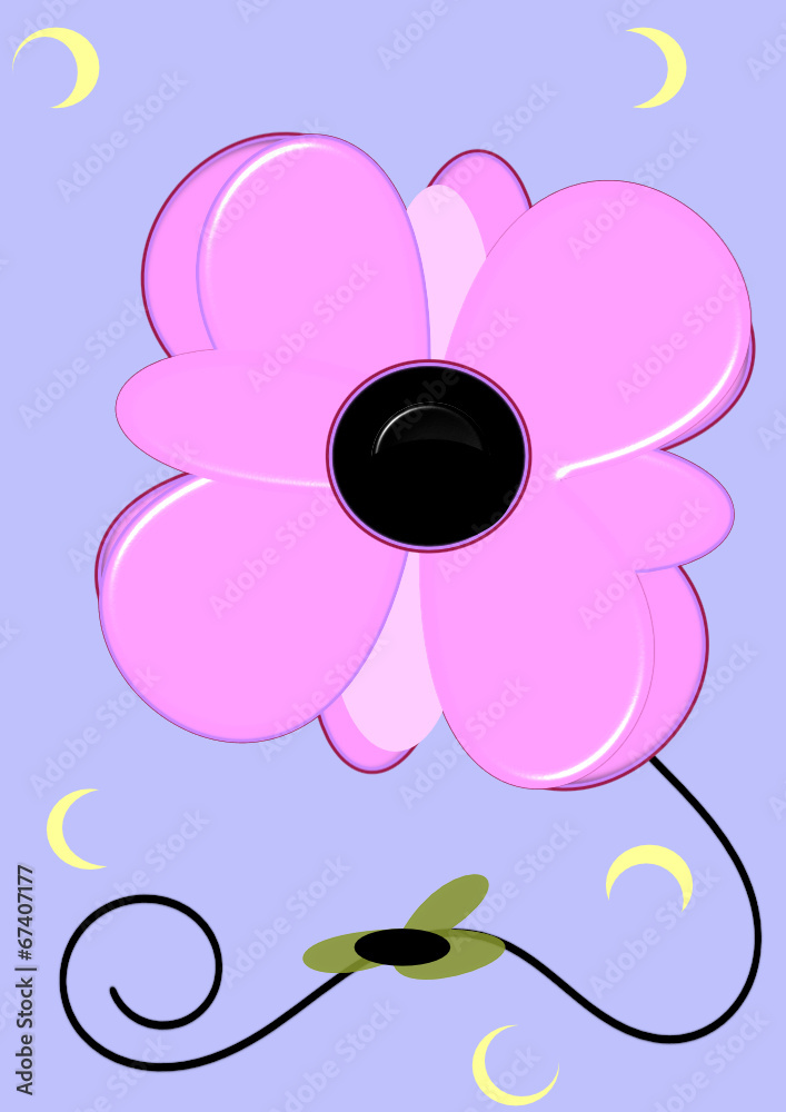 Flor bella
