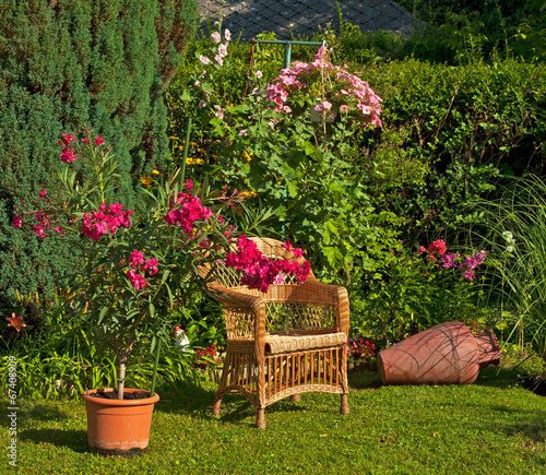 Garden with flowers