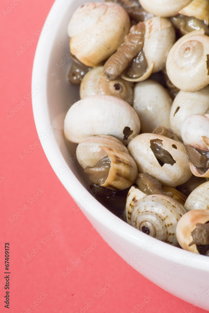 Bowl of snails in garlic, typical plate of Spain and France Bowl of snails in garlic, typical plate of Spain and France