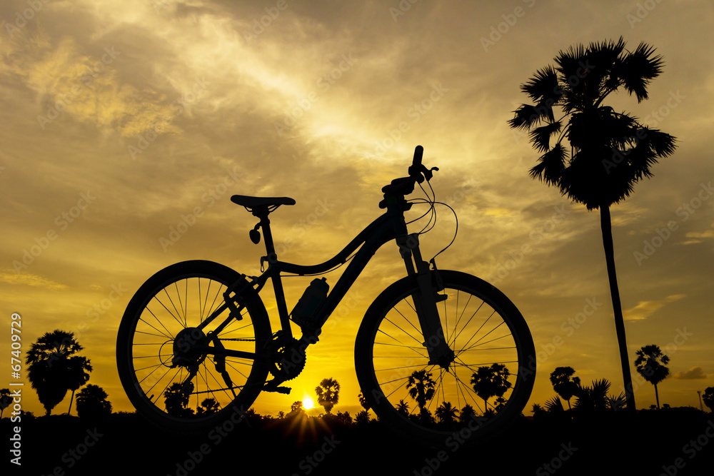 Obraz premium Bicycle on sunset
