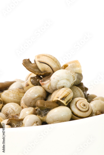 Bowl of snails in garlic, typical plate of Spain and France