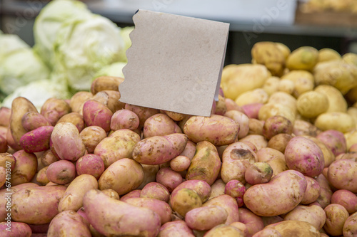 Fresh vegetables on the market