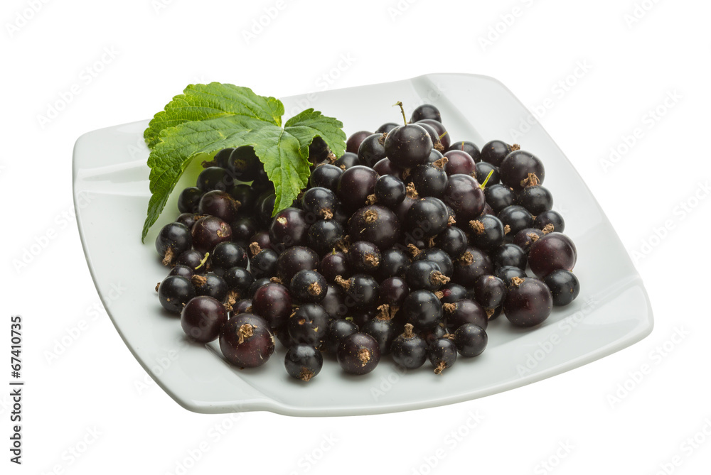 Black currant