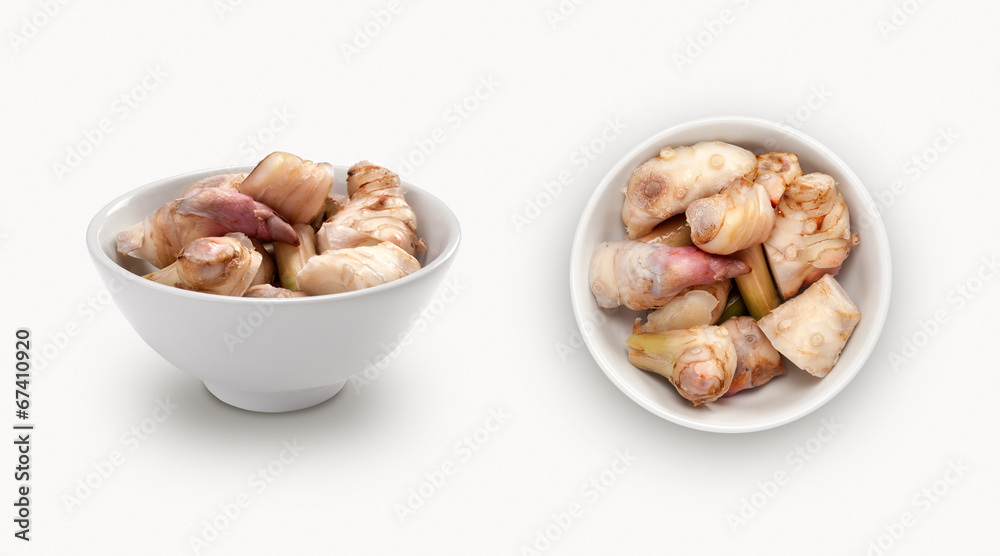 Galangal isolated on white background, view from front and top Galangal isolated on white background, view from front and top