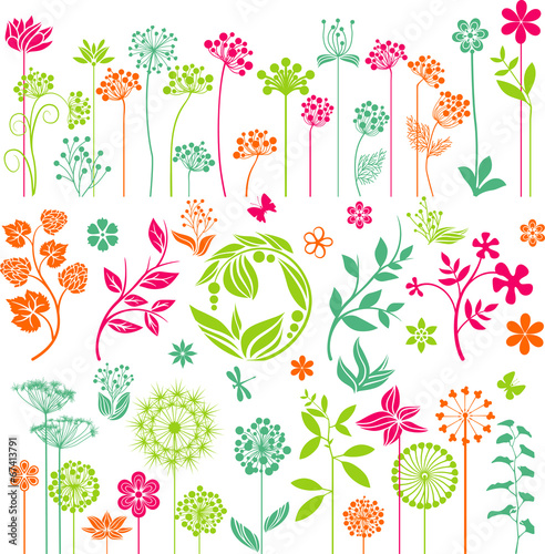 Colorful floral set II