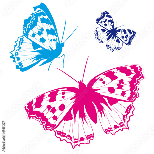 butterflies design