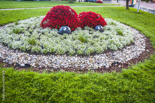 beautiful flover comosition in Tartu, Estonia photo