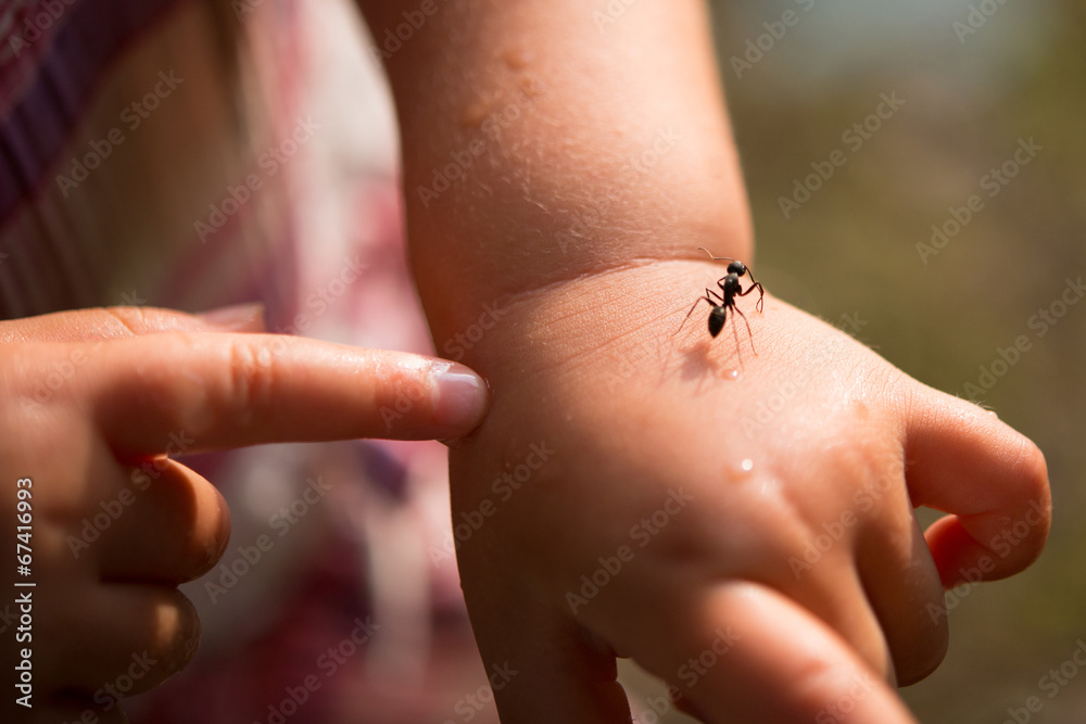 Obraz premium 子供の手に乗る蟻