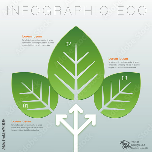 Infographics Vector Background ECO