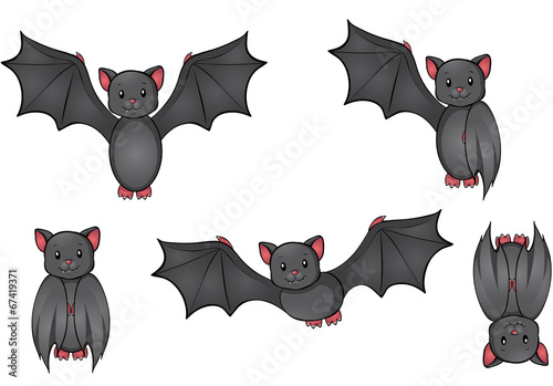 Fledermaus Set Kollektion Sammlung