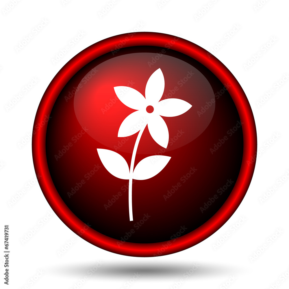 Flower  icon