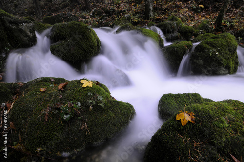 The stream