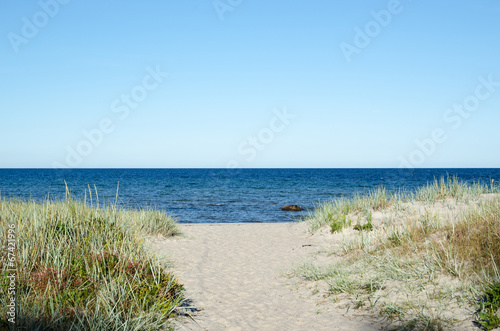 Fototapeta Naklejka Na Ścianę i Meble -  Pathway to the beach of Baltic Sea at the swedish island Oland