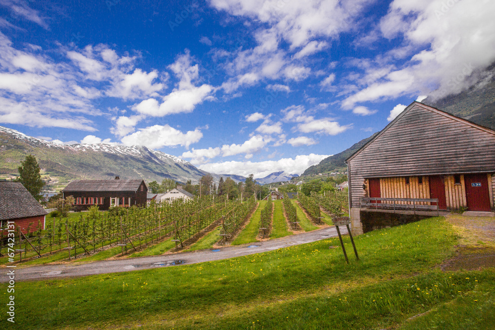 Ulvik farmland around Hardangerfjord, Norway Ulvik farmland around Hardangerfjord, Norway