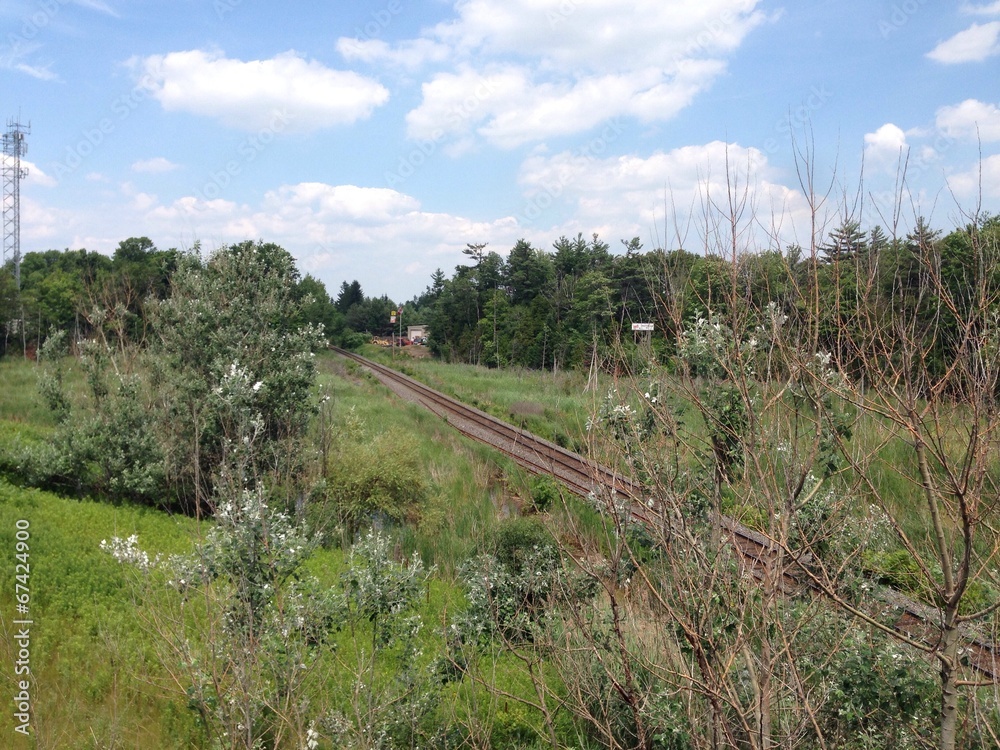Peacefull Rail