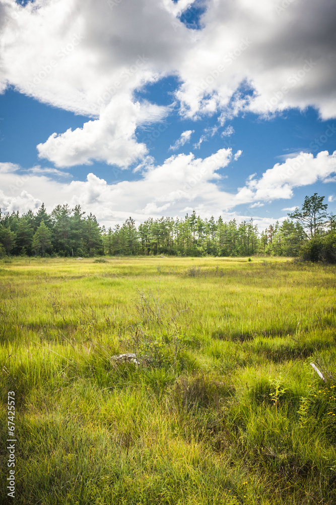 Fototapeta premium Saaremaa island, Estonia