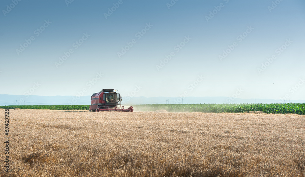 Working Harvesting Combine Working Harvesting Combine
