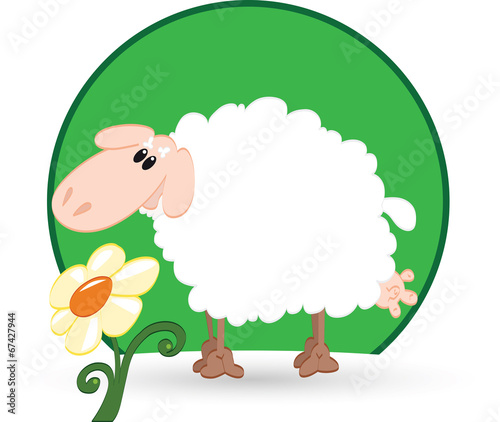 The sheep