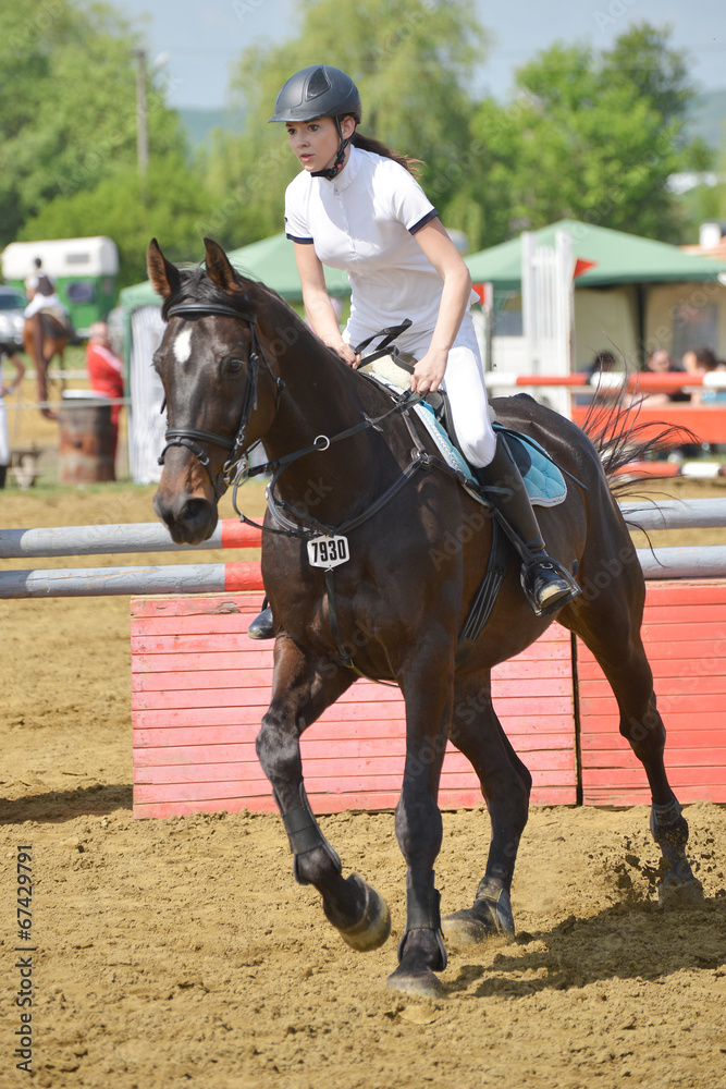 show jumping show jumping