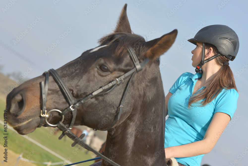 Fototapeta premium horse jumping