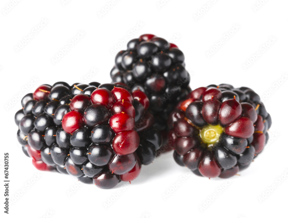 ripe blackberry ripe blackberry