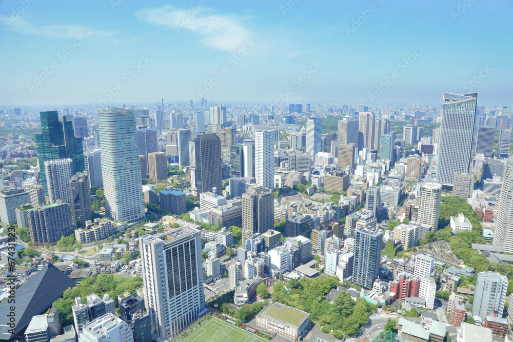 Naklejka premium 東京タワーからの眺め