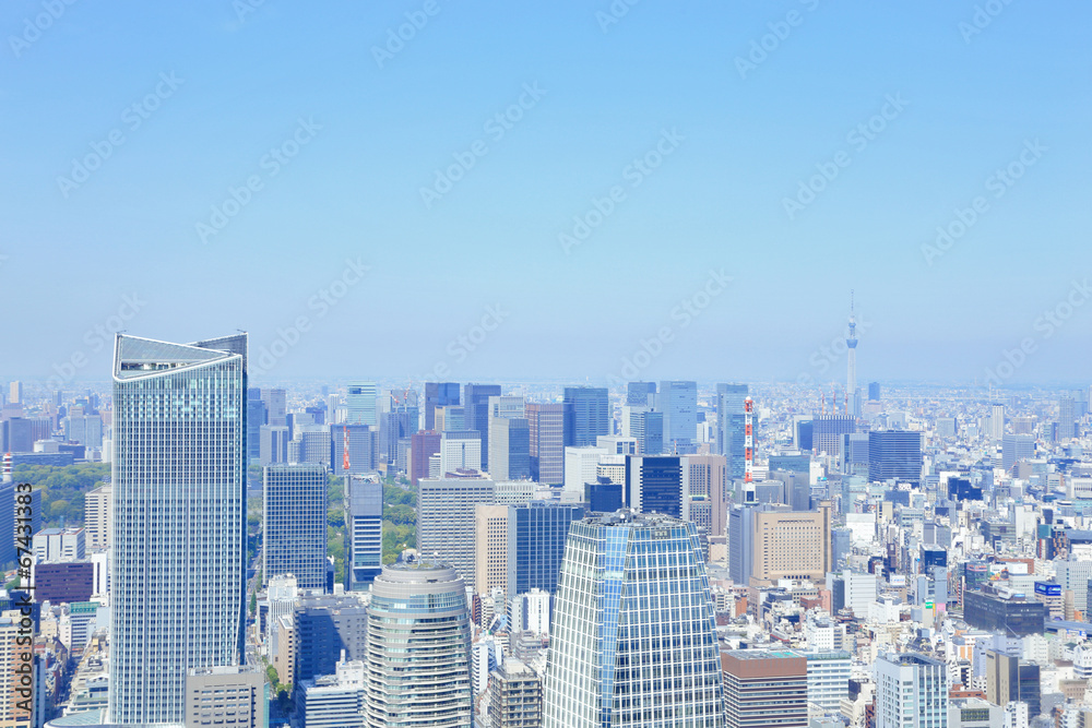 Fototapeta premium Sky Tree z Tokyo Tower