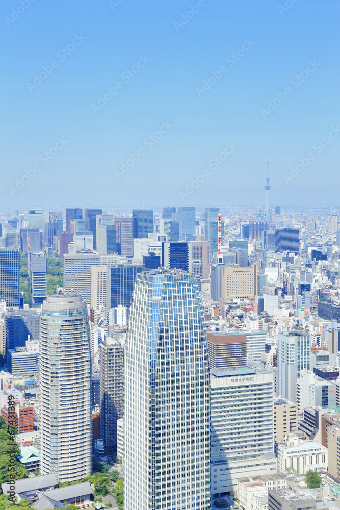 Obraz premium 東京タワーからスカイツリー