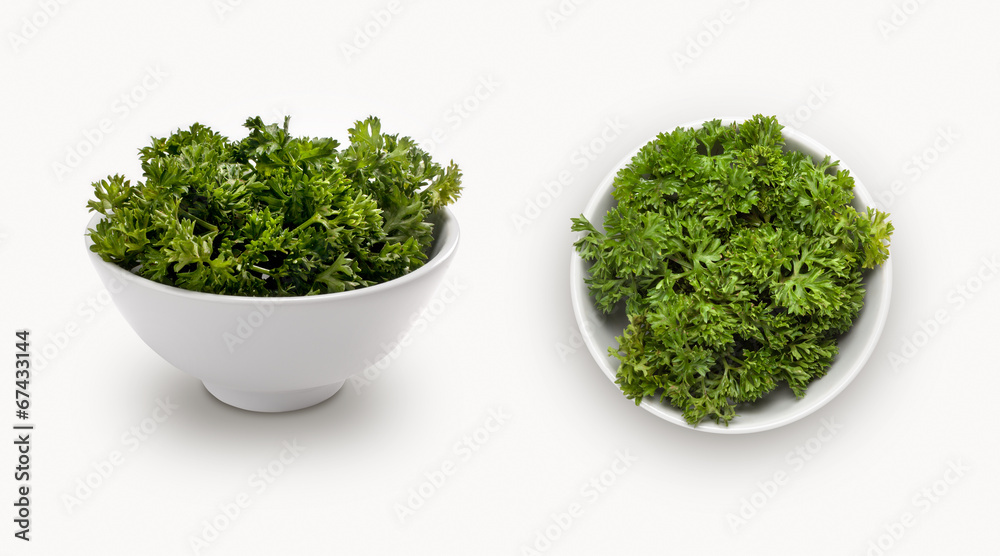 fresh parsley isolated on a white background fresh parsley isolated on a white background
