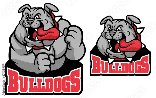 bulldog mascot photo