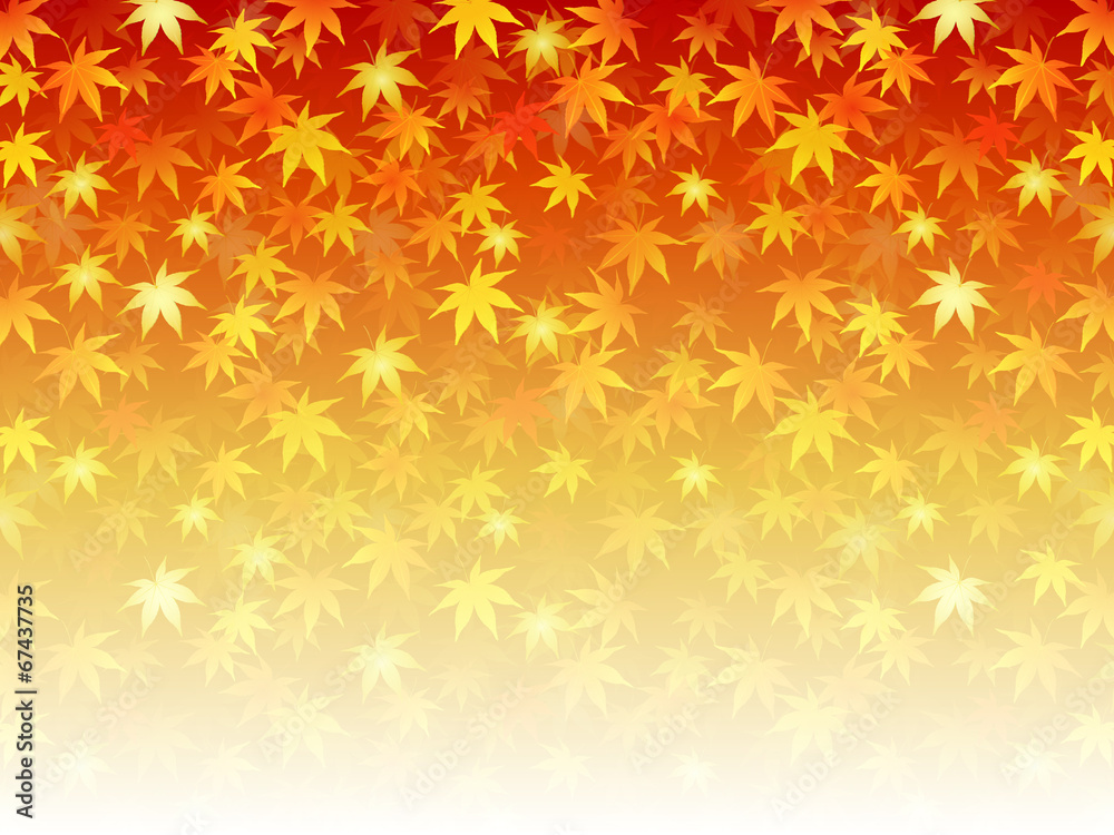 もみじ 紅葉 背景 もみじ 紅葉 背景