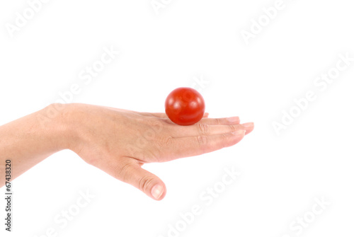 tomato on the palm