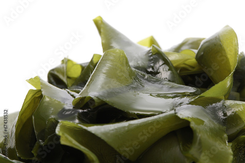 Wakame, soft seaweed photo