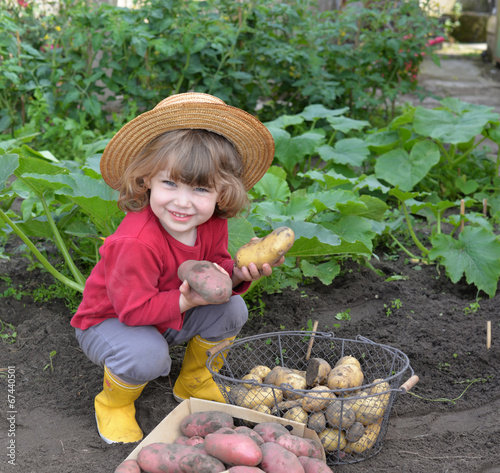 enfant au potager photo