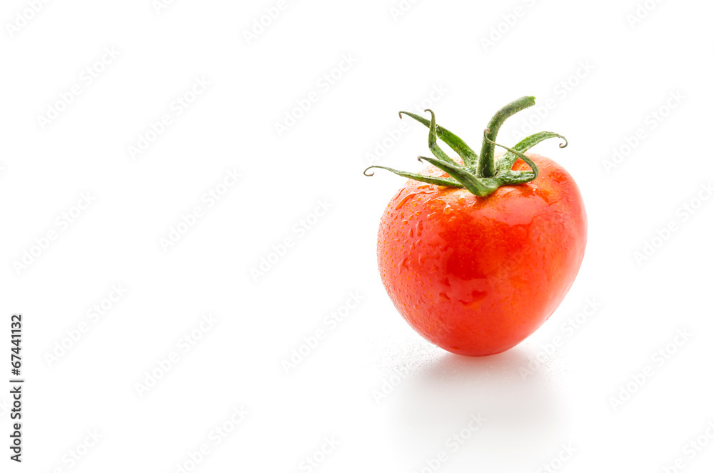 Tomato isolated on white Tomato isolated on white