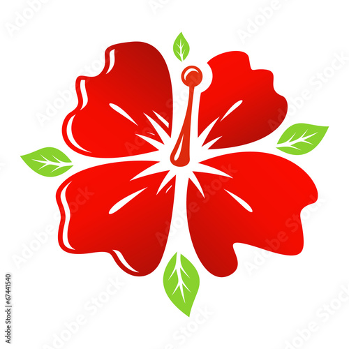 Fototapeta Naklejka Na Ścianę i Meble -  Vector red Flower