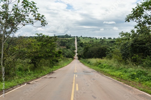 Road of Mato Grosso - Brasil photo