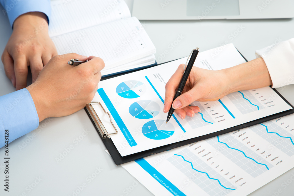 Businesswoman explaining a financial plan to colleague