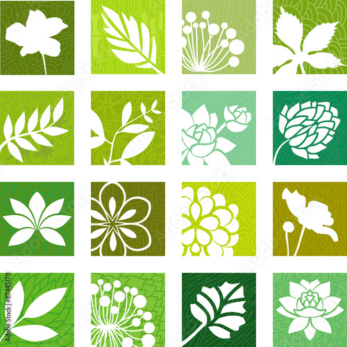 Floral collection III