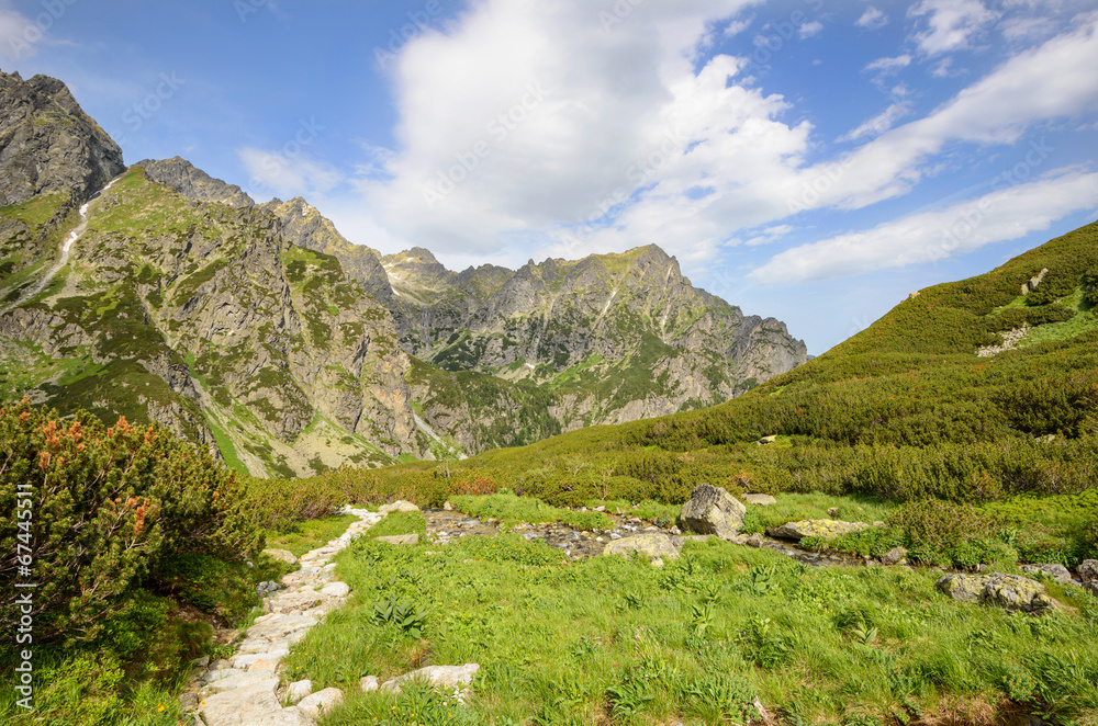 Mountains landscape.Trail in a green mountains.