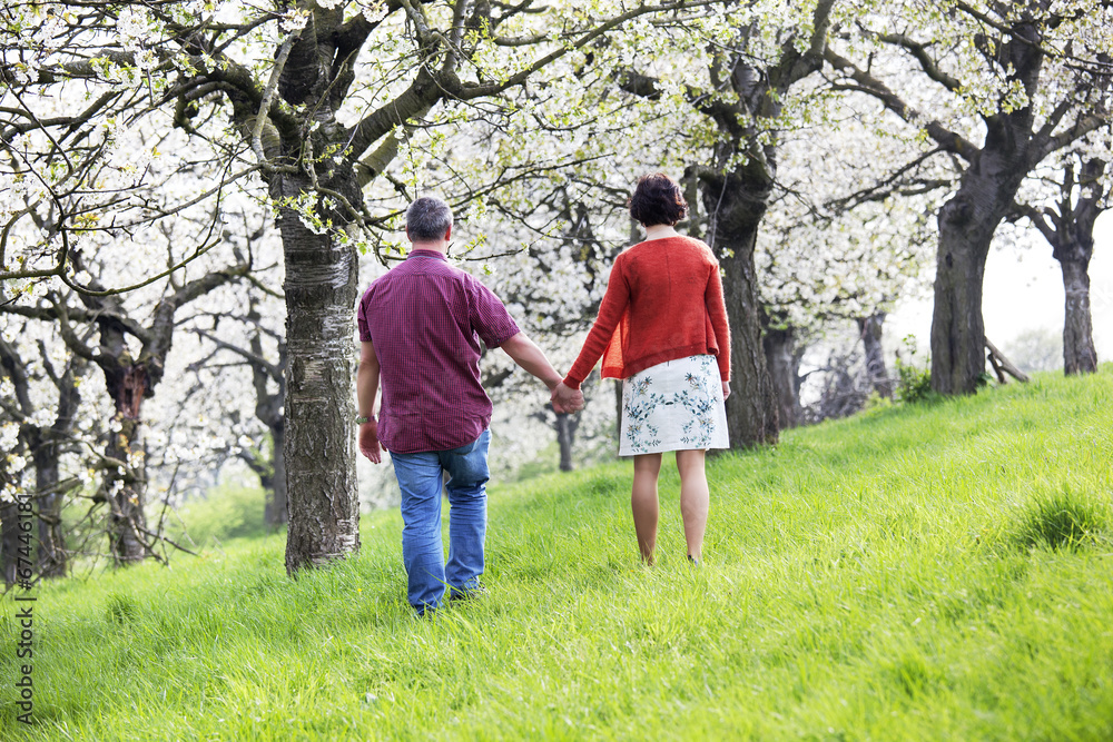 Obraz premium Mature couple runs under blooming cherry trees