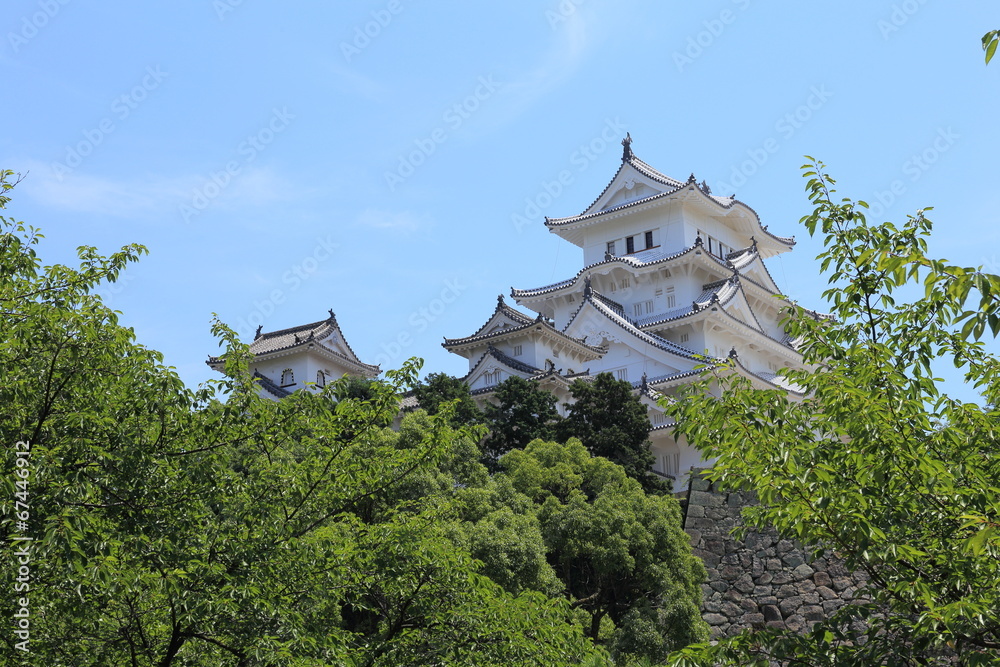 Fototapeta premium Himeji Castle in Hyogo, Japan