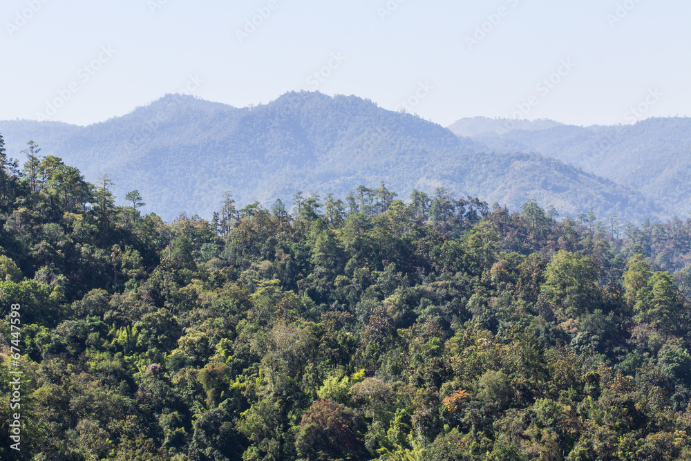 View from Mountain, Pha Daeng National Park in Chiangmai Thailan