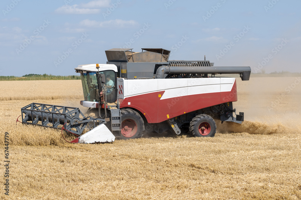Mechanized harvesting wheat grain harvester Mechanized harvesting wheat grain harvester