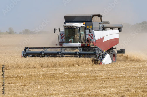 Mechanized harvesting wheat grain harvester