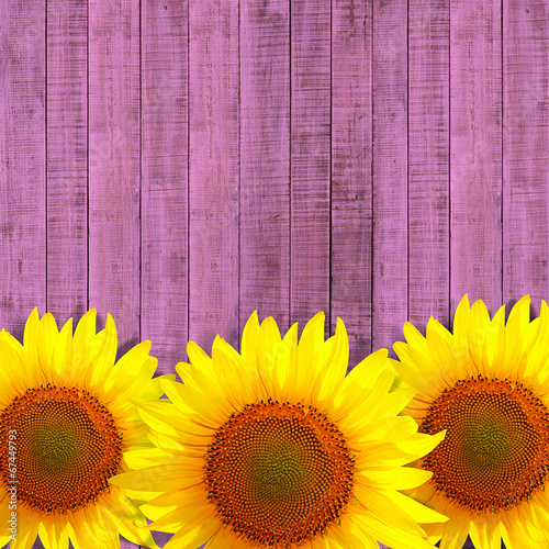 Fototapeta Naklejka Na Ścianę i Meble -  sunflower leaning on pink wooden background