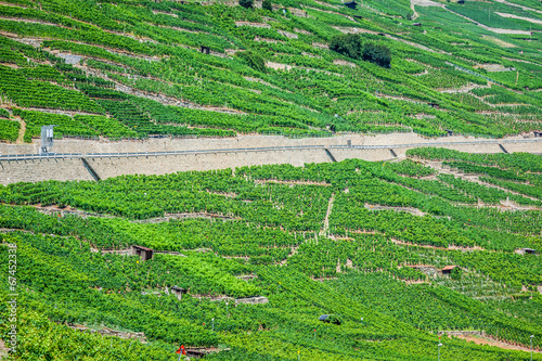 the swiss alpine town of martigny surrounded by vineyards and mo photo